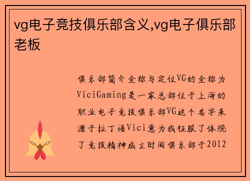 vg电子竞技俱乐部含义,vg电子俱乐部老板